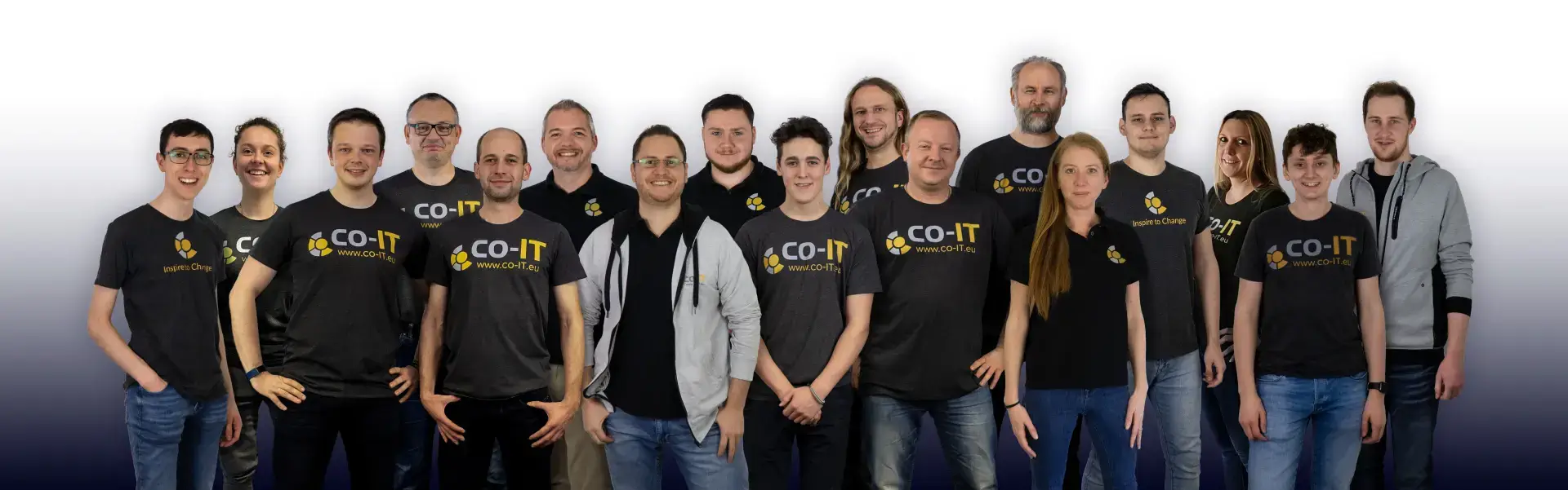 Picture showing the whole team at co-IT